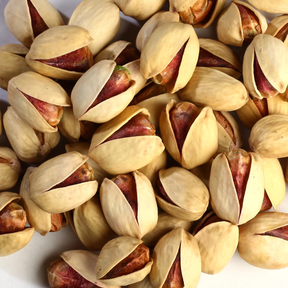 Jumbo Pistachio / Kalleh Ghouchi